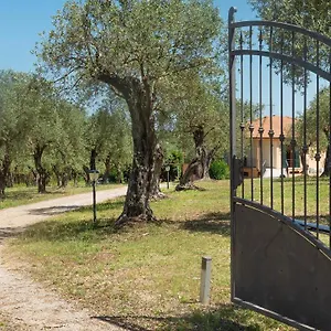 Welcomely - Country Olivar ** Alghero